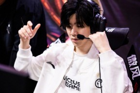 南宫28-TheShy回归赛场，回归赛场首场状态亮眼，尤文图斯观众沸腾！的简单介绍